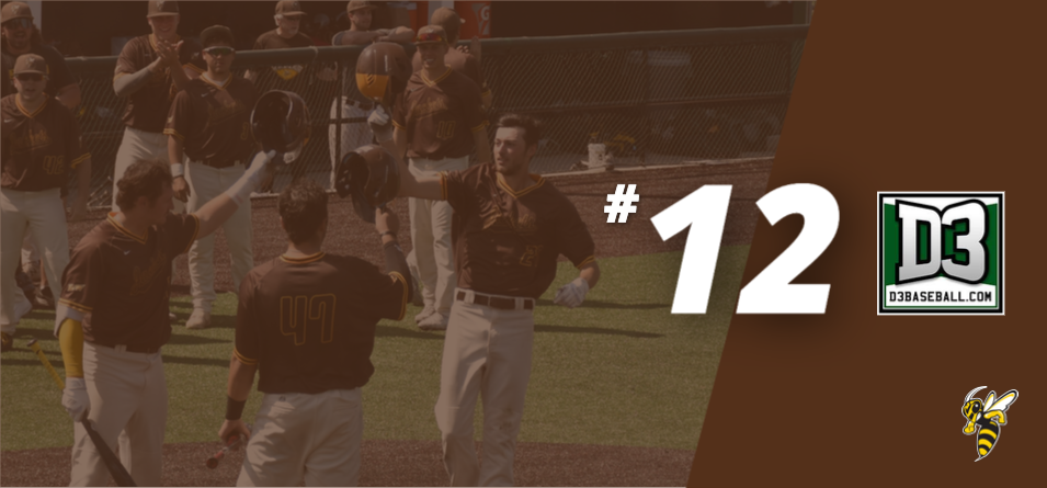 Celebration after Vincent Capolupo's three-run homerun against University of Mount Union