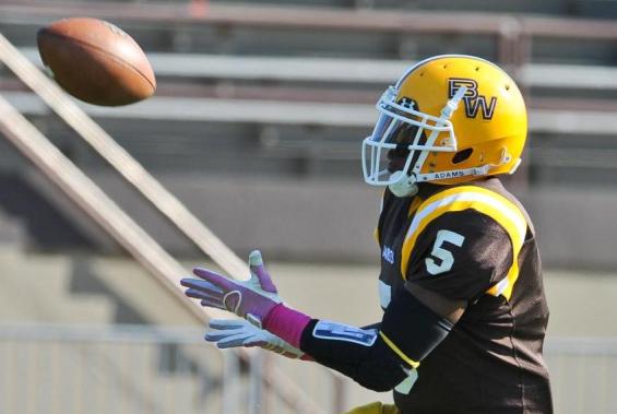 Yellow Jackets Beat Muskingum, 29-17
