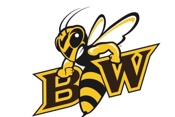Volleyball Team Adds Nicolae to its Coaching Staff