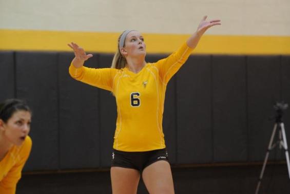 Volleyball Team Loses a Pair of Matches
