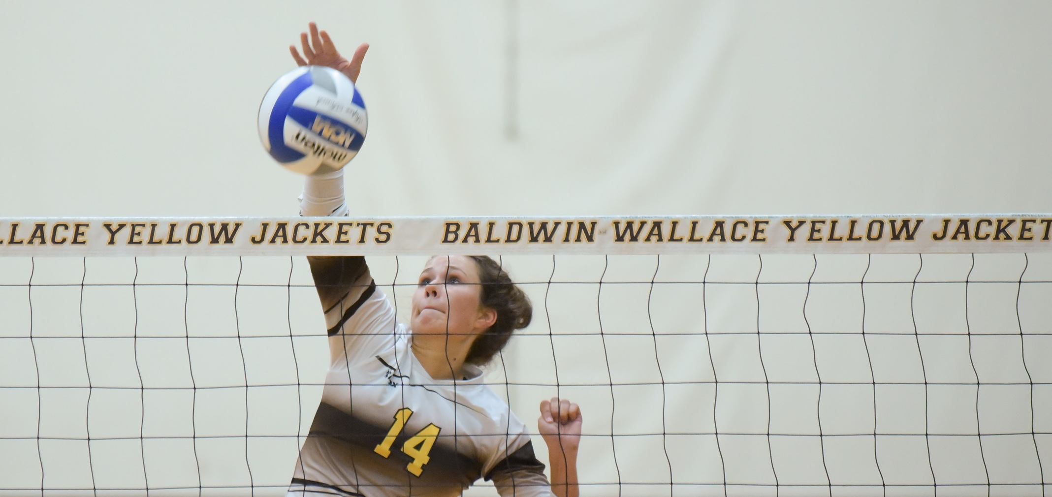 Volleyball Wins Three at Greyhound Premiere Invitational